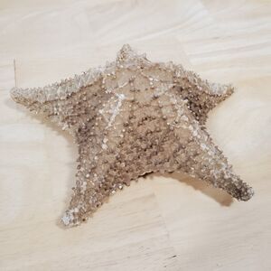 Red Cushion Sea Star 8” 8 Inches Wide Starfish Large Ocean Beach Decor 5 arm